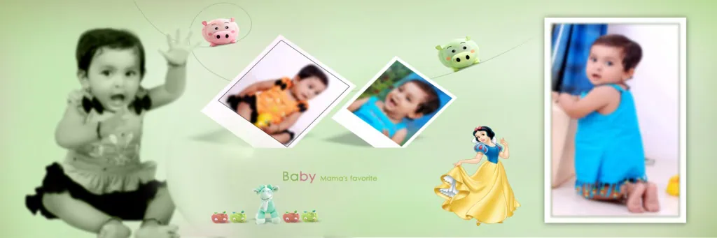 Birthday Album Design PSD